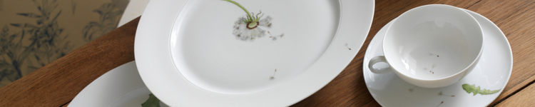 Lotos | Pusteblume