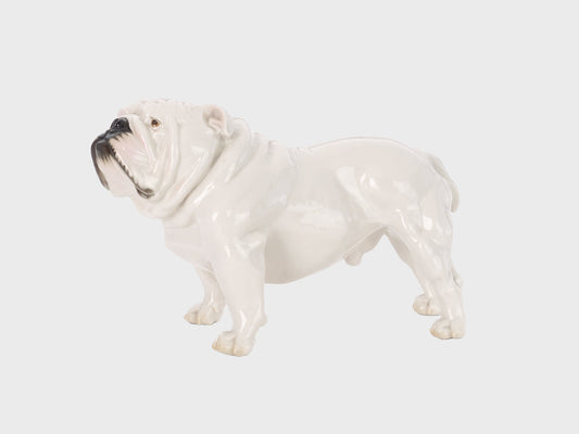 Englische Bulldogge | 670 | 17 cm | Unterglasurmalerei | Ausführung I hell