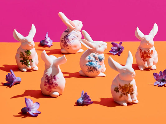 Small hare Xaver