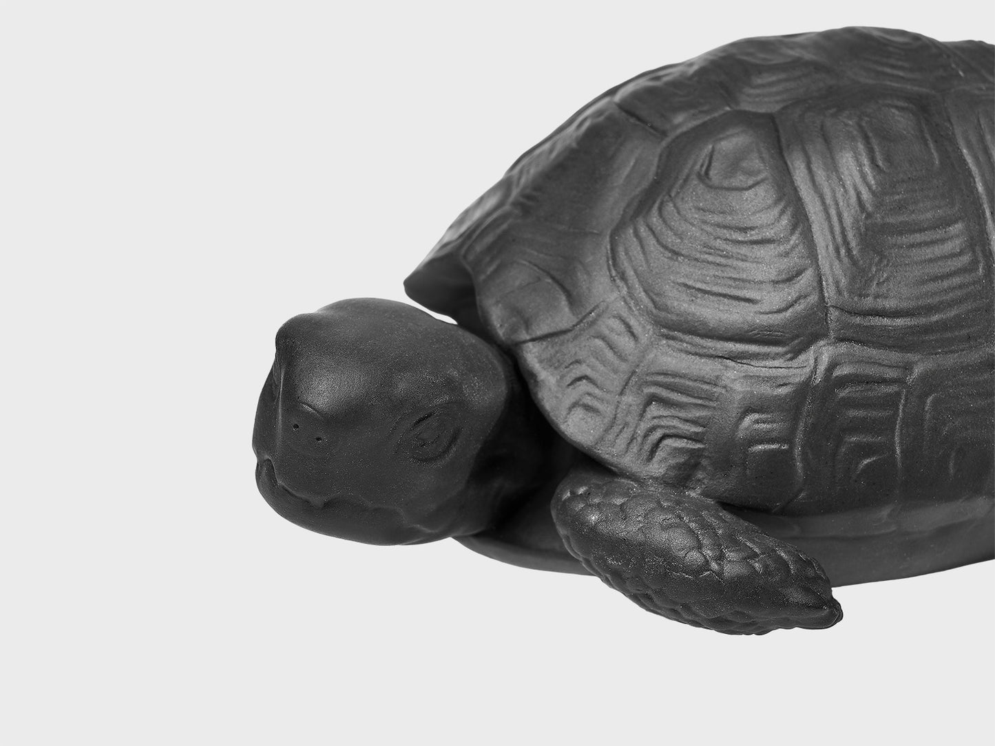 Schildkröte Michael