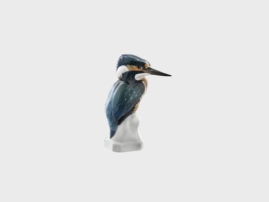 Eisvogel