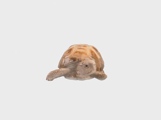 Schildkröte | 310 | 6 cm | Unterglasurmalerei