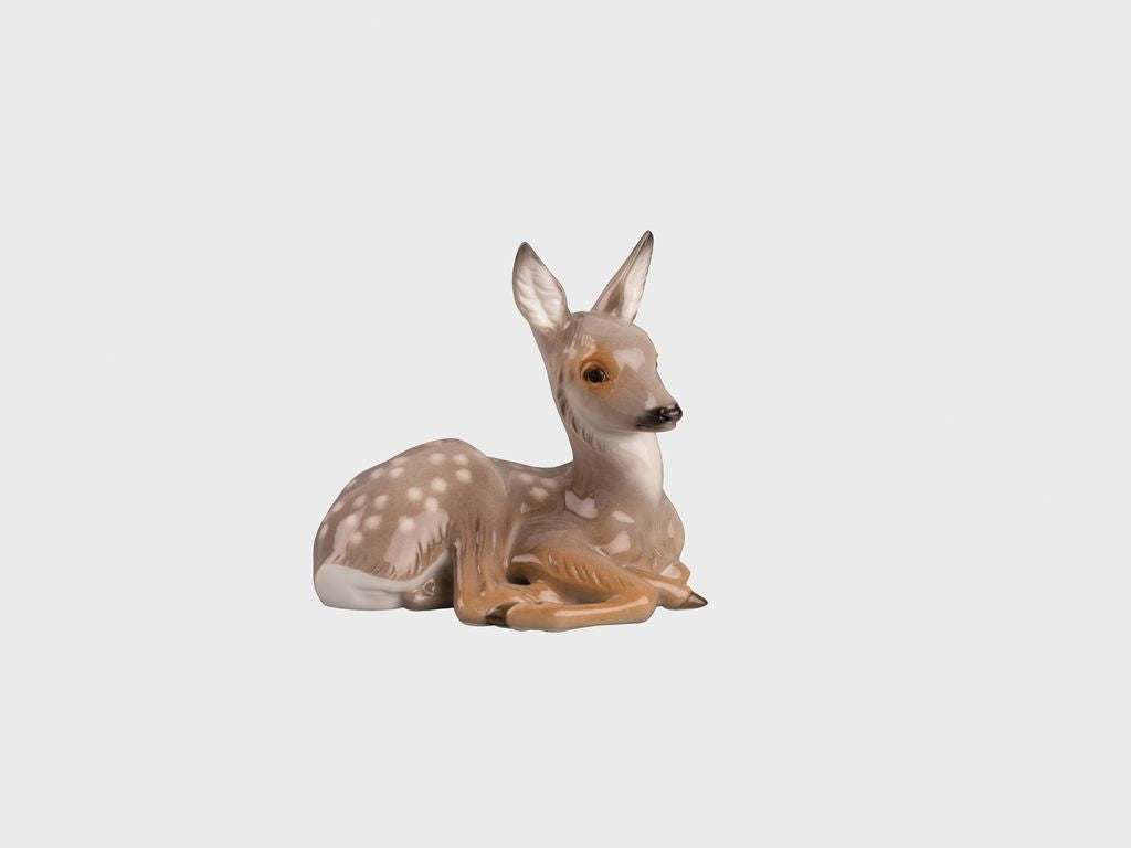 Fawn