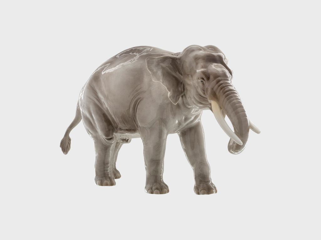 Elefant Rüssel abwärts
