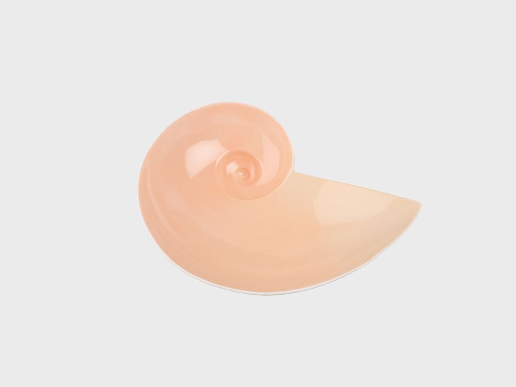 Moon snail bowl | S