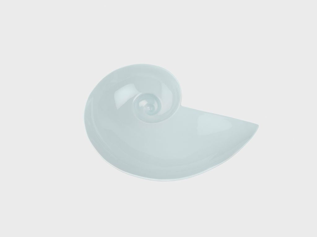 Moon snail bowl | S