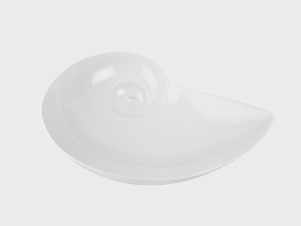 Moon snail bowl | L