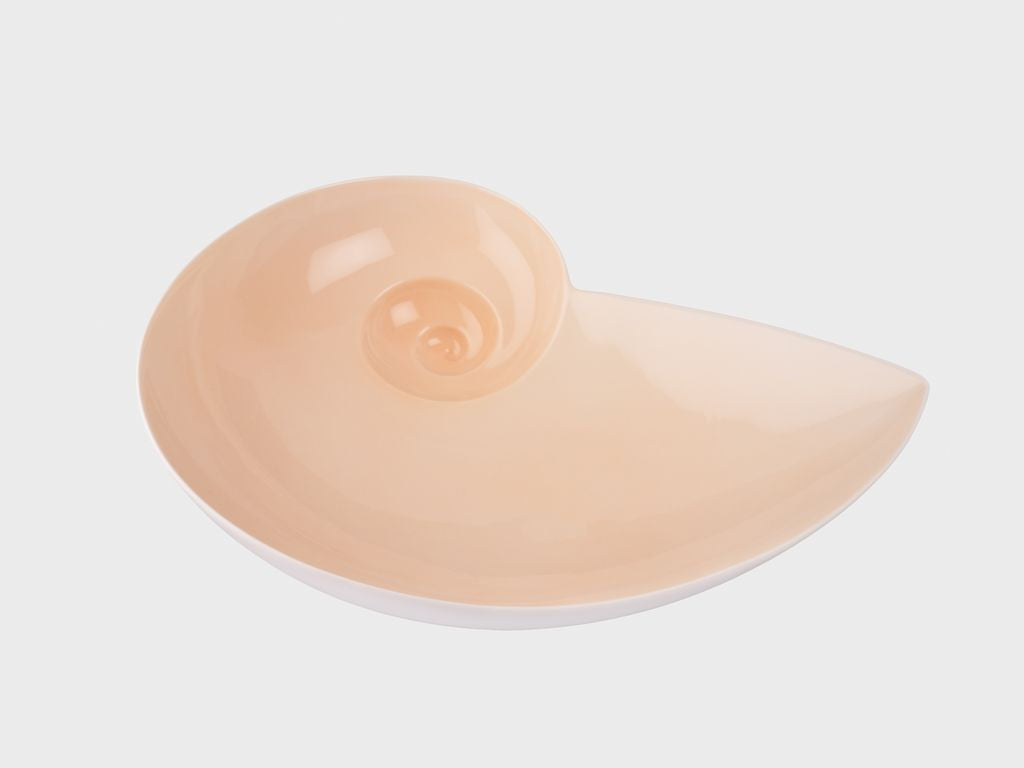 Moon snail bowl | L