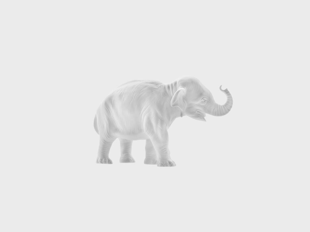 Junger Elefant Rüssel aufwärts