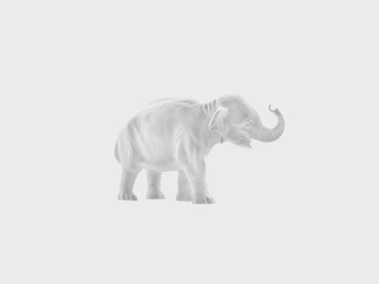 Junger Elefant mit Rüssel aufwärts | 877aQ | 10 cm | weiss biskuit