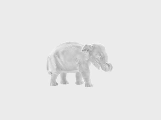 Junger Elefant mit Rüssel eingerollt | 877bQ | 10 cm | weiss biskuit