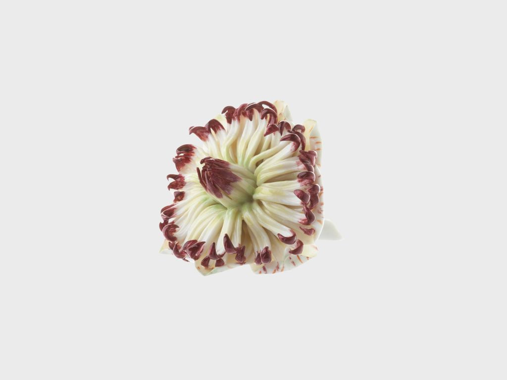 Tischblume Passionsblume