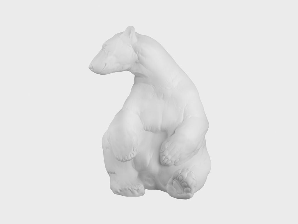 Polar bear