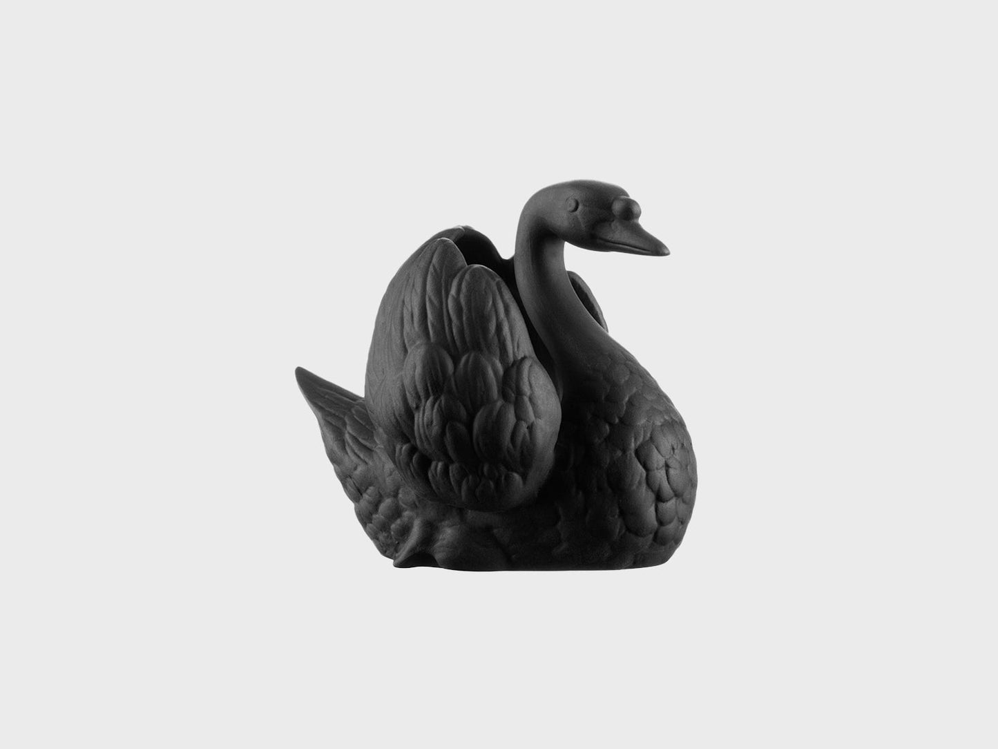 Schwan