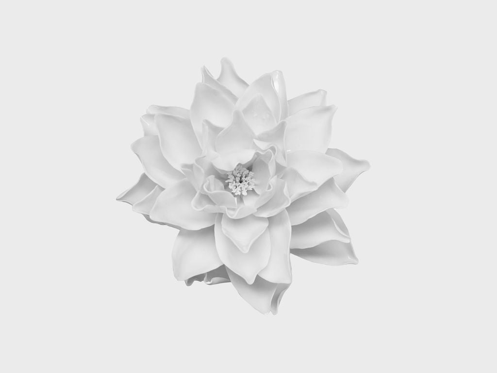 Tischblume Seerose