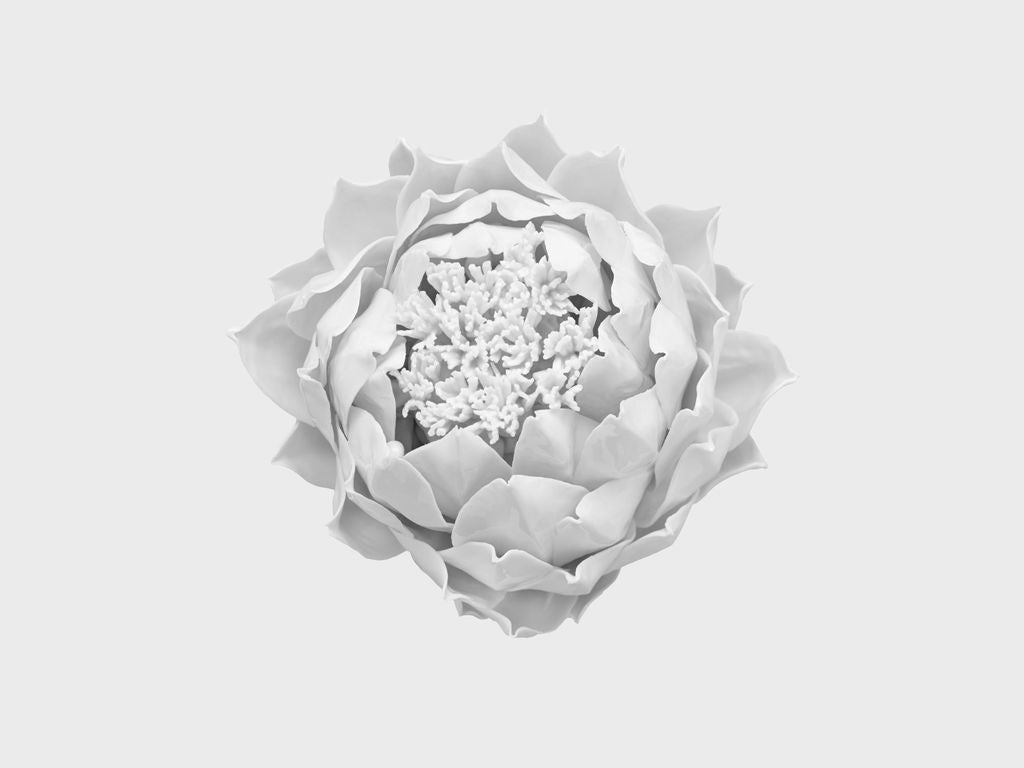 Tischblume Artischockenblüte