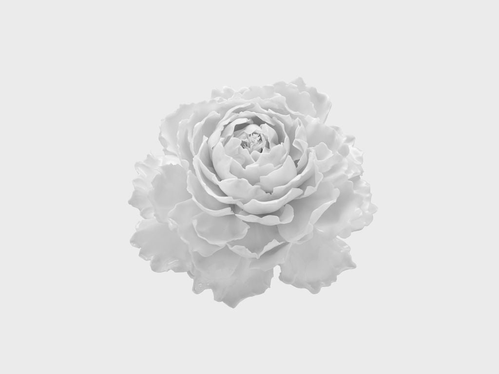 Tischblume Pfingstrose