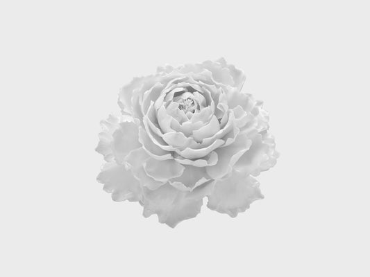 Tischblume Pfingstrose