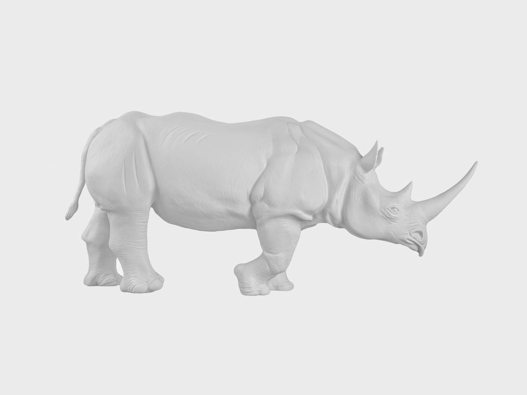 Spitzmaulnashorn Albert