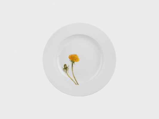 Pastateller | 820 | 22 cm | 2648 | Pusteblume auf weiss biskuit glasiert