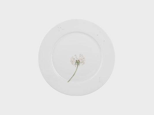 Teller | Lotos | Pusteblume | 24 cm