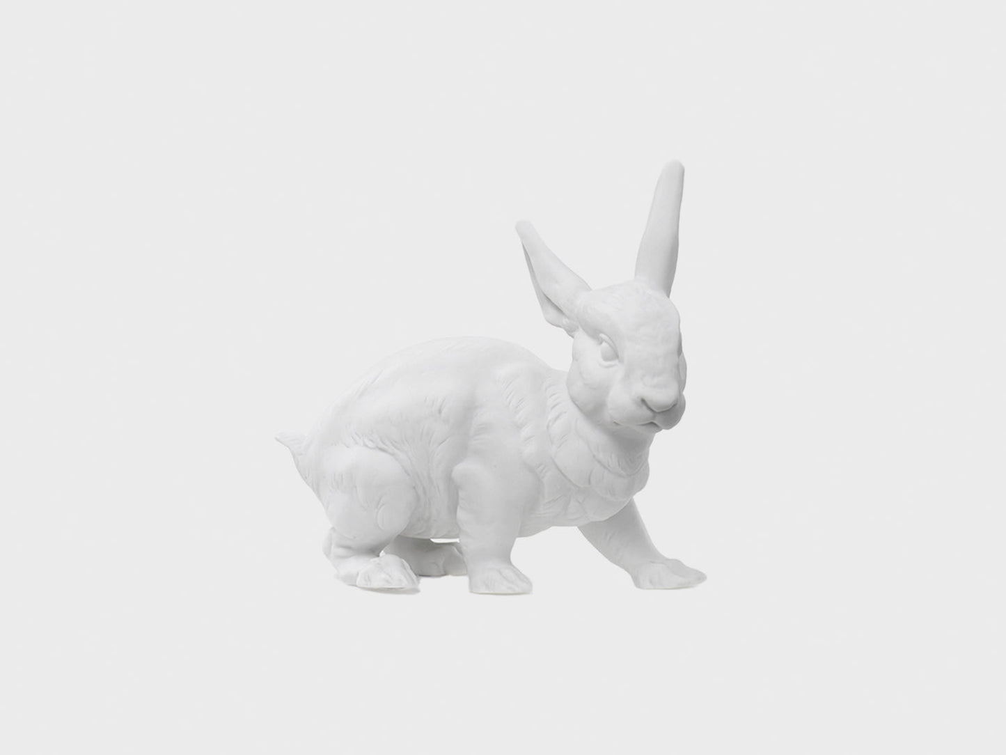 Hase