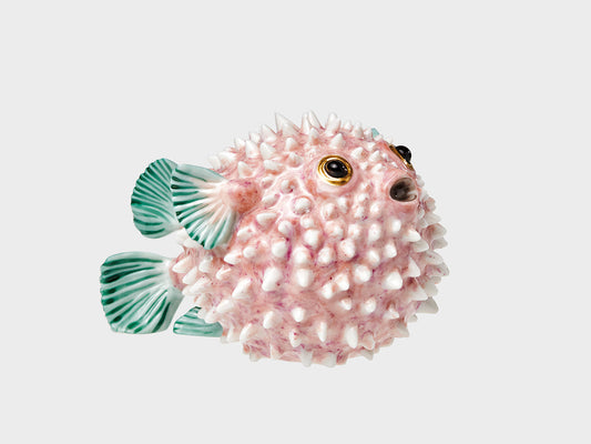 Pufferfish