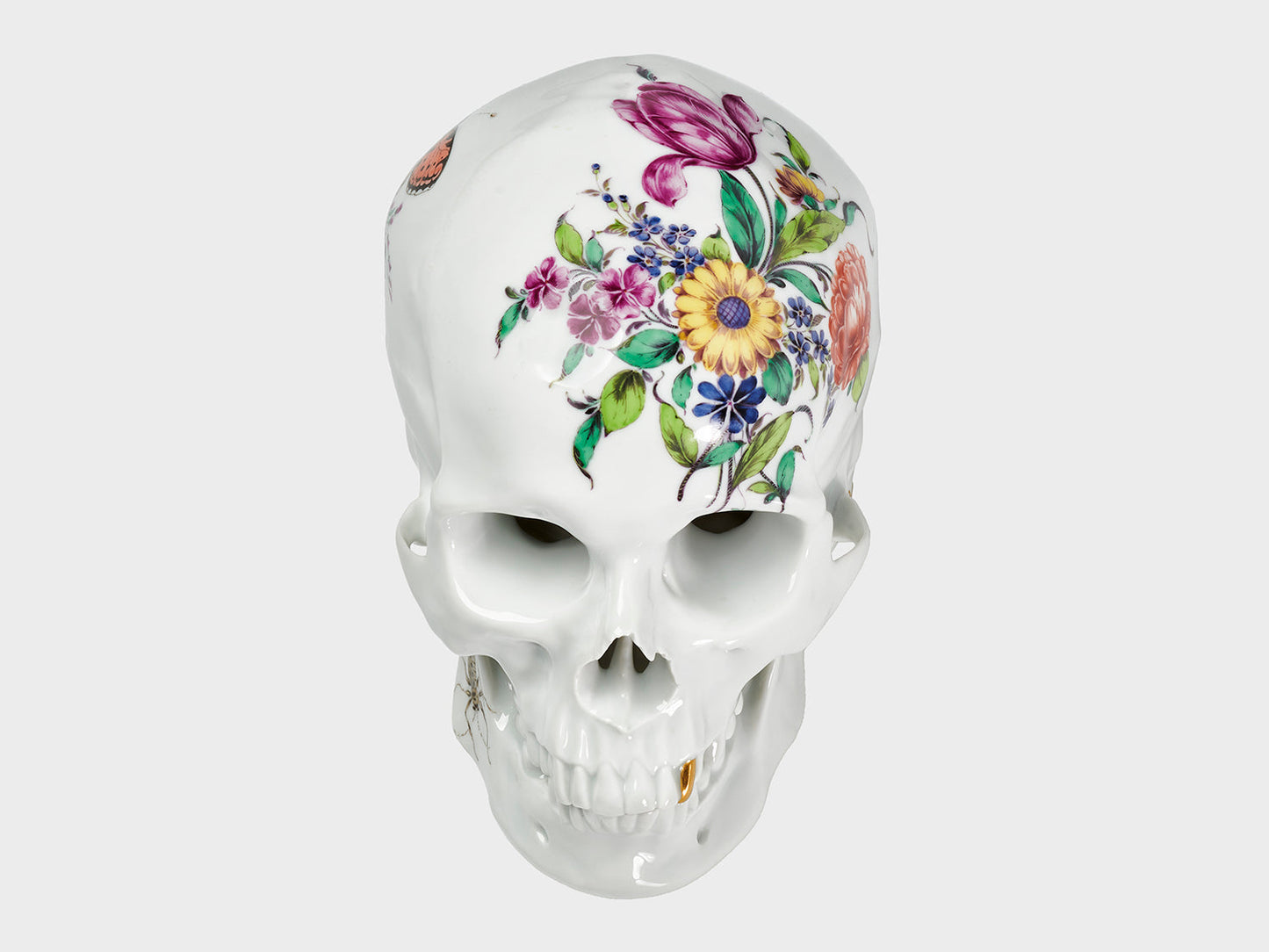 Skull Cumberland
