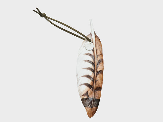 Feder | Eichelhäher