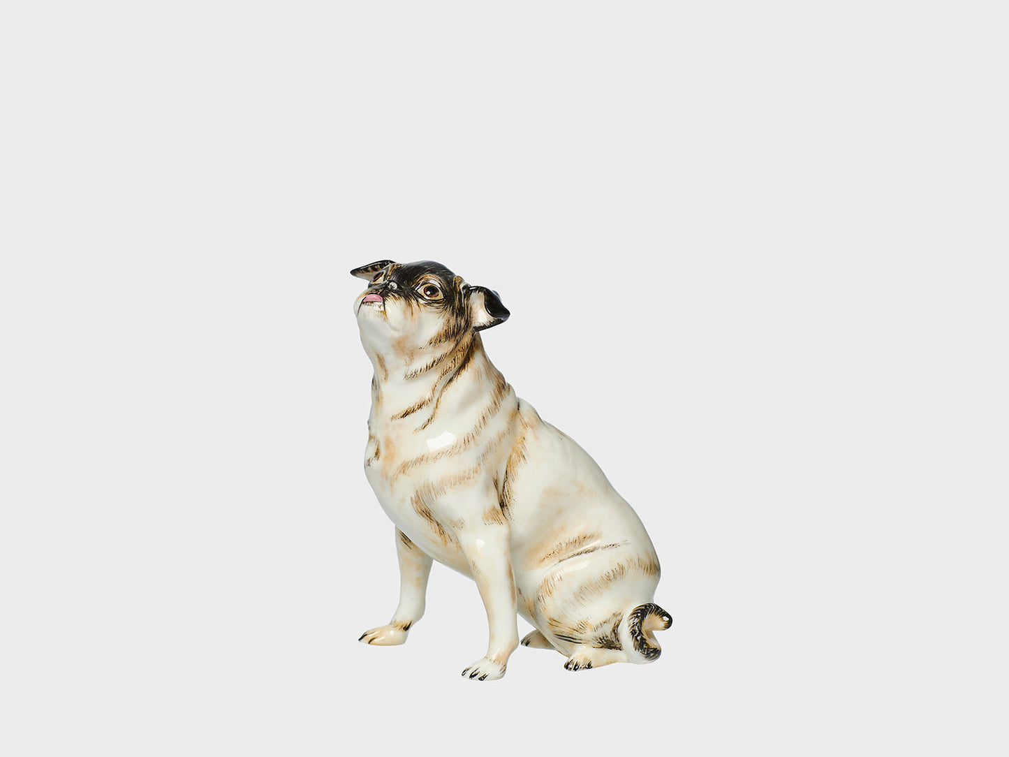 Pug