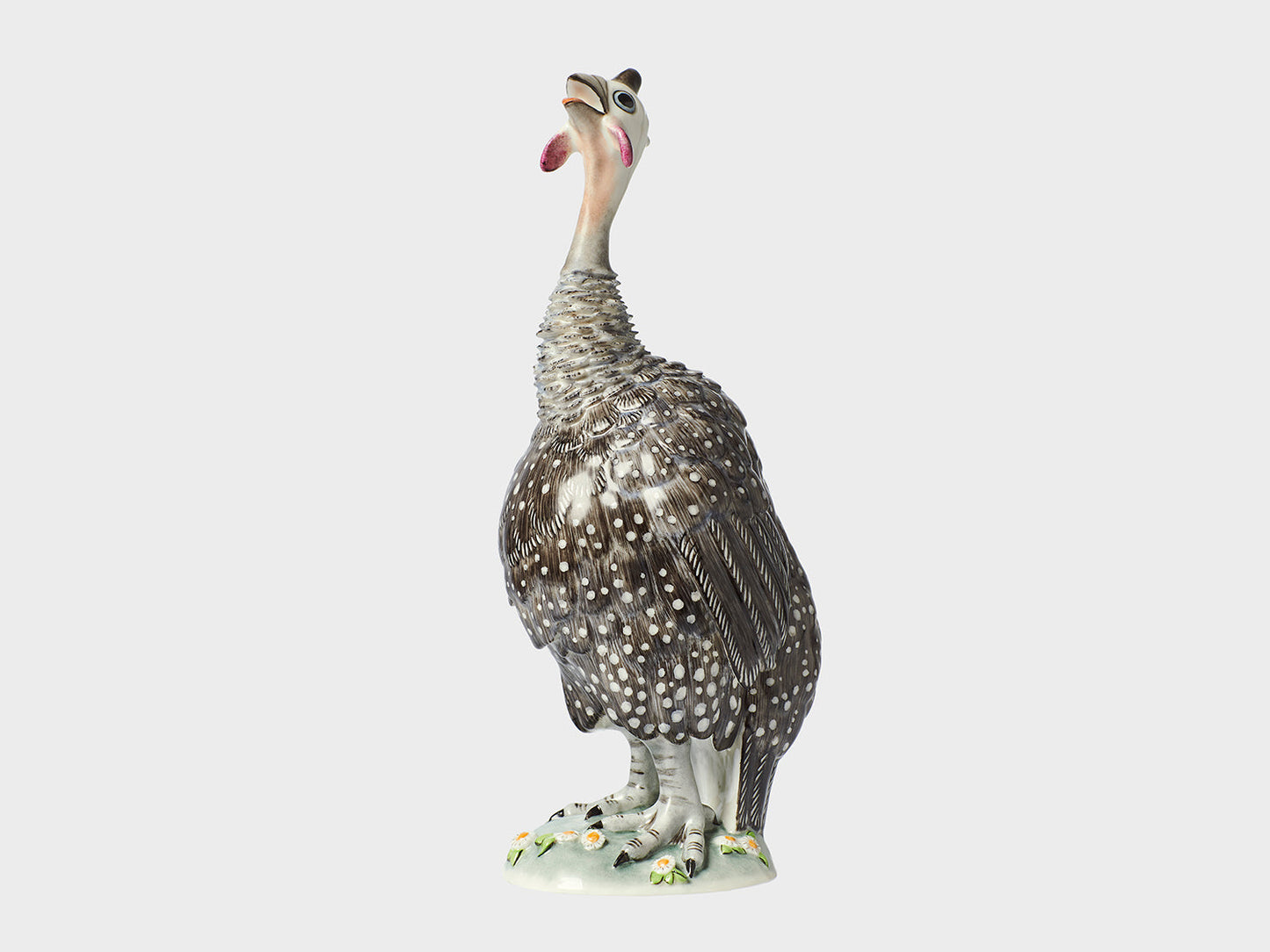 Perlhuhn