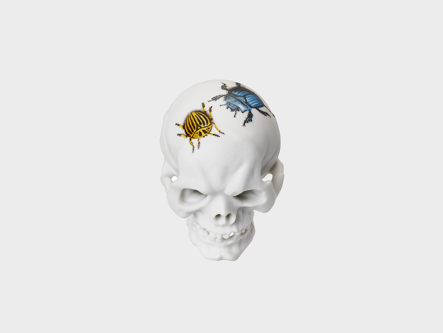 Totenkopf mit Insekten