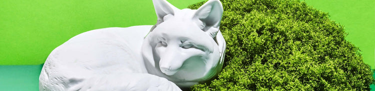 Wildlife