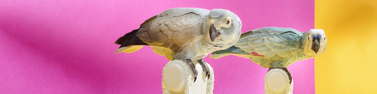 Geschenke für Paare