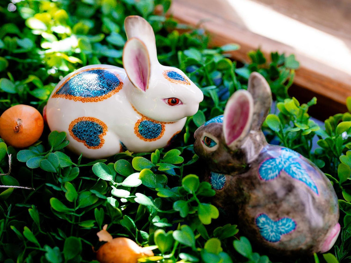 Rabbit