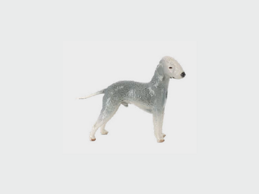 Bedlington Terrier  Nr. 682/II