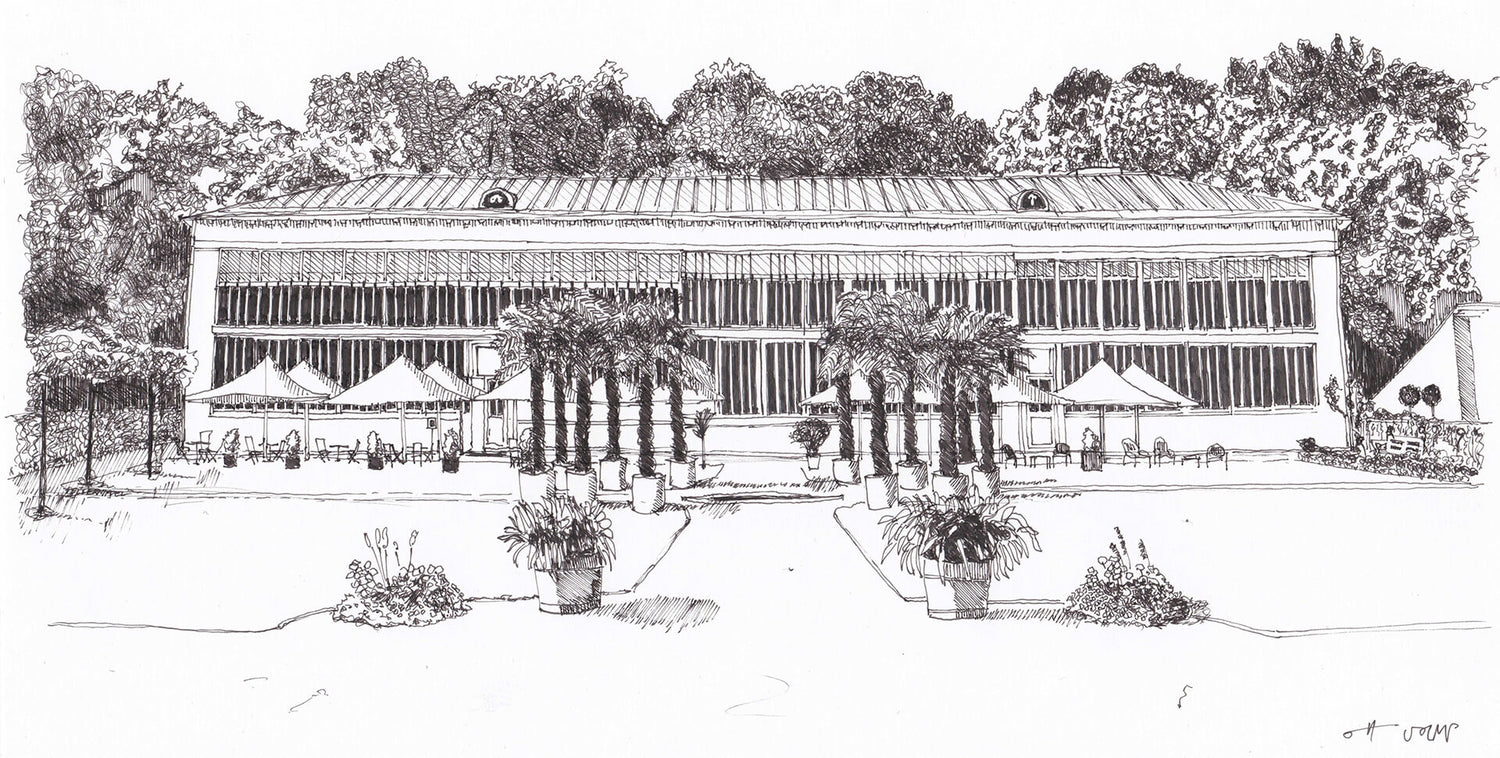 Feine Schwarzweiß-Tuschezeichnung eines langgestreckten Palmenhauses mit vorgelagerter Palmallee, Sonnenschirmen und Gartenmöbeln im Schlosspark.

Detailed black-and-white ink drawing of a long palm house with a row of palm trees, sunshades and garden furniture in front, set in a park.