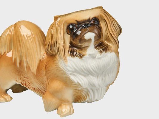 Pekinese  Nr. 650