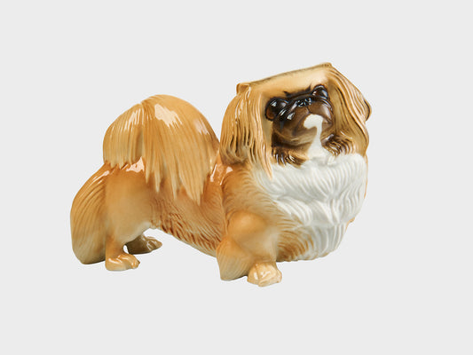 Pekinese  Nr. 650