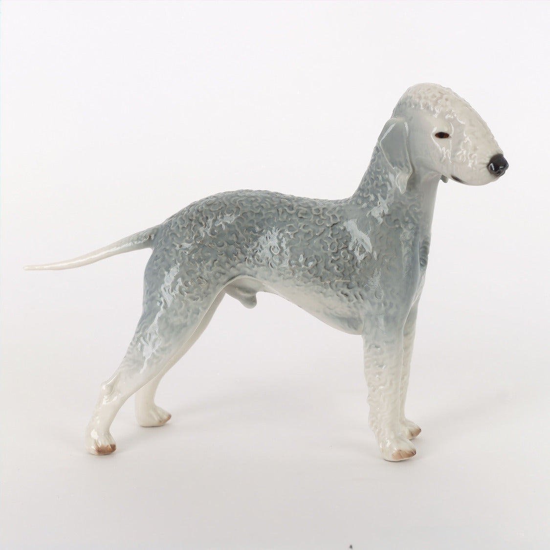 Bedlington Terrier