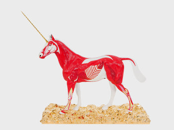 Damien Hirst Kunstwerk Myth 
Damien Hirst artwork Myth