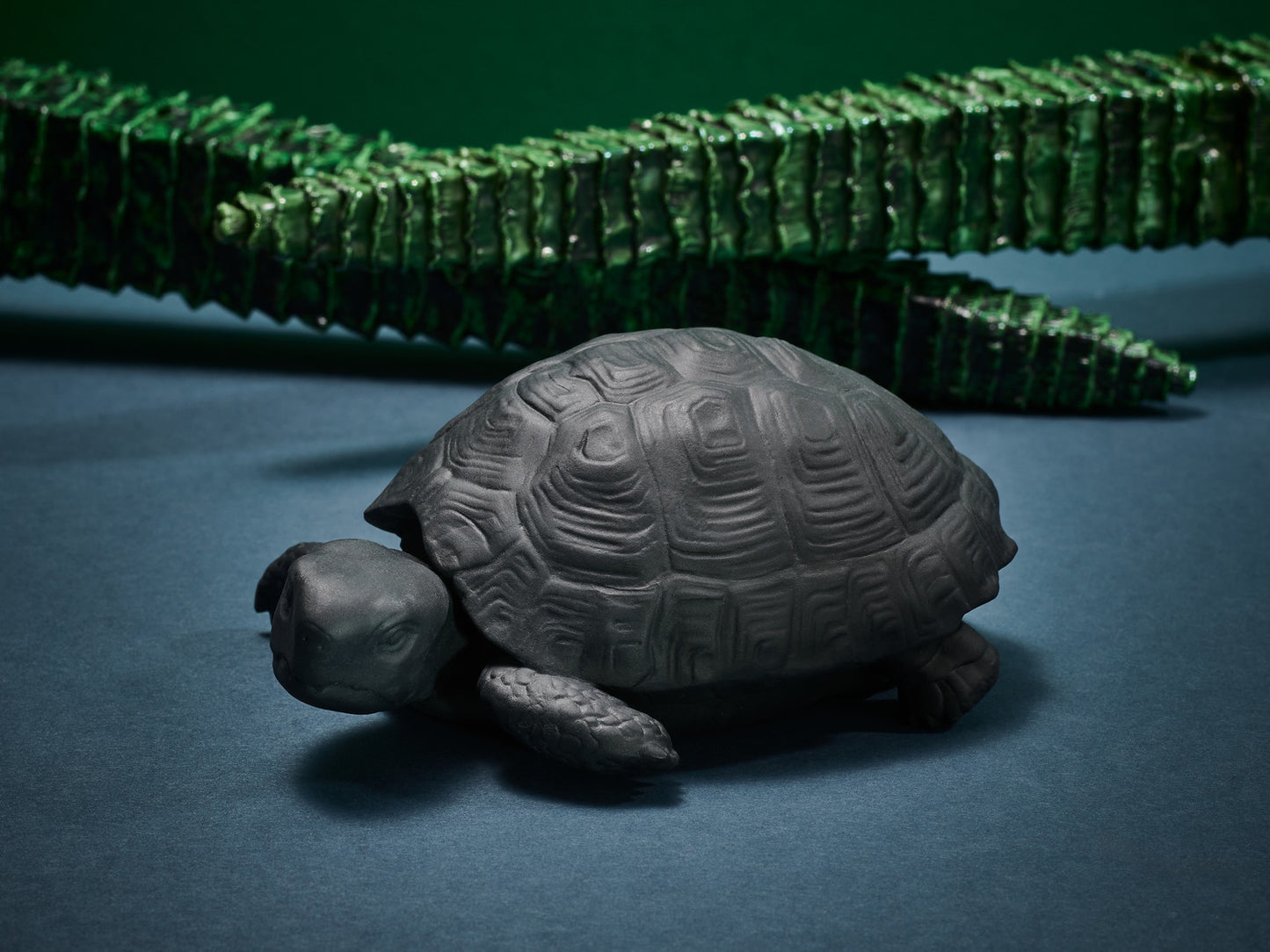 Schildkröte Michael