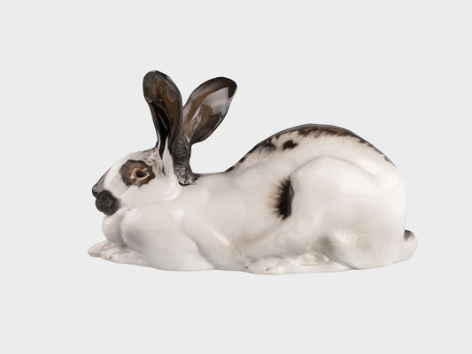 Hare