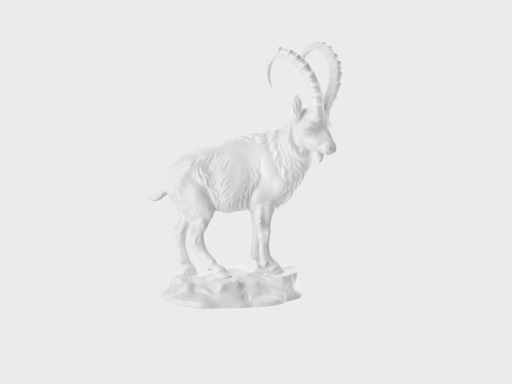Ibex