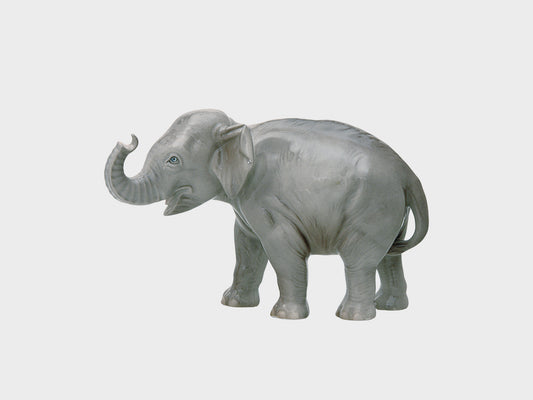 Elefant Rüssel aufwärts