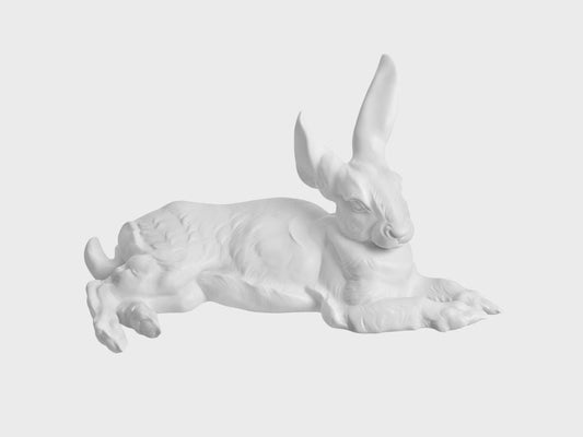 Hase