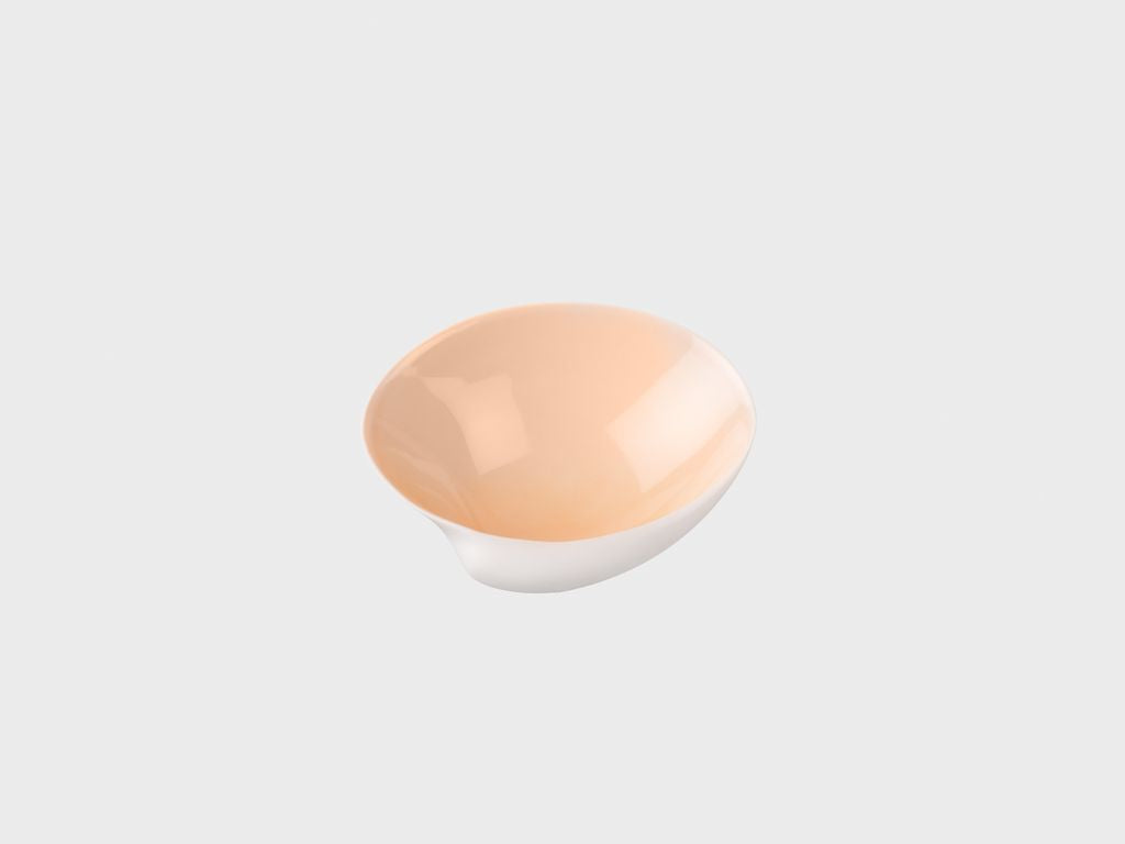 Muschel Clam