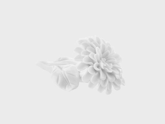 Table flower dahlia