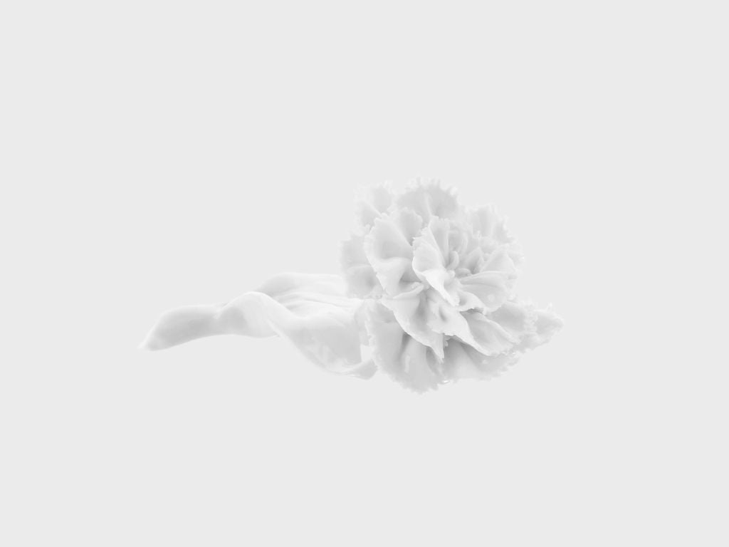 Table flower carnation | M