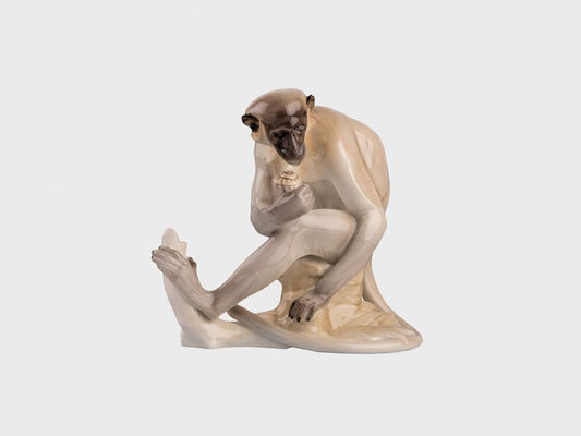Monkey with snail